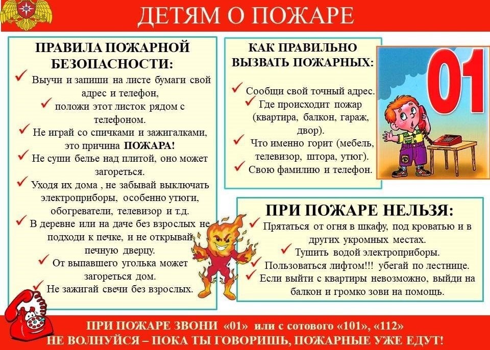 tJJ57hJC1Y4.jpg